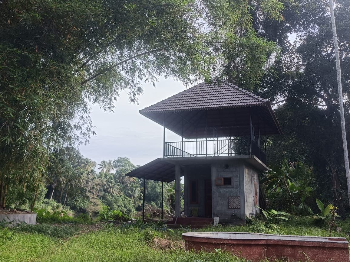 Riverside pavilion surrounded by bamboo and birdsong