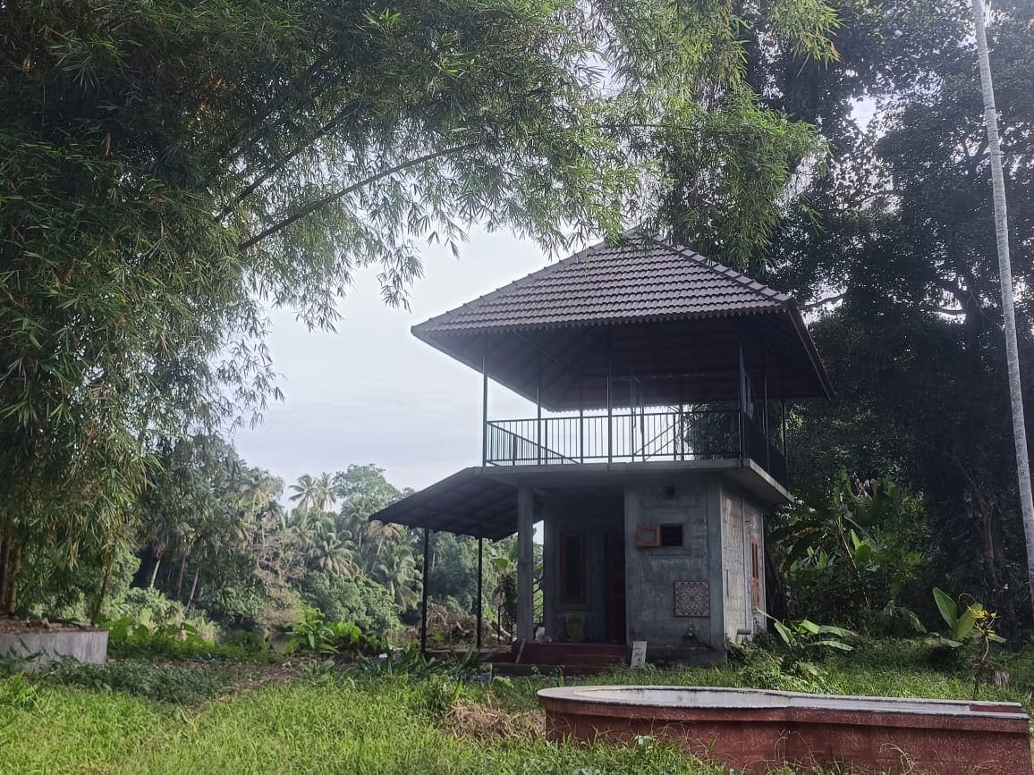 Two-storey riverside pavilion surrounded by bamboo